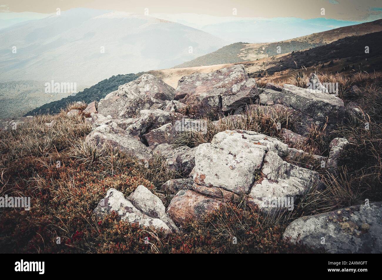 pietre grandi giacciono su una glade verde con filtro Foto Stock