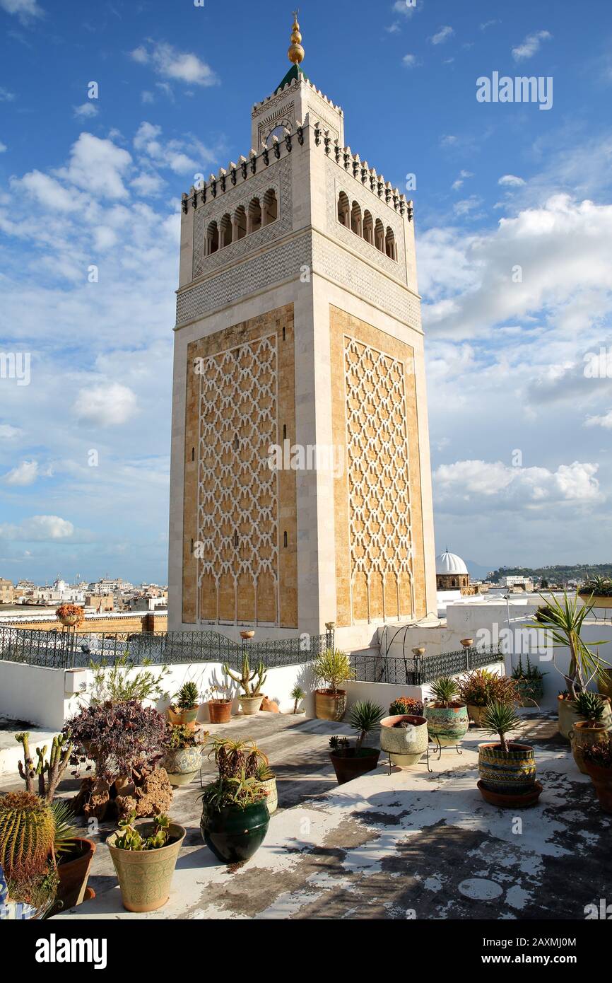 Il minareto decorato della Moschea Ez Zitouna (Grande Moschea) visto da una terrazza a Tunisi, Tunisia, con piante colorate in primo piano Foto Stock