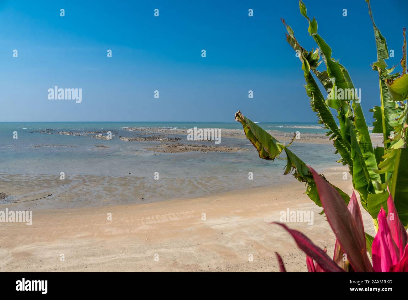 Spiaggia tropicale vuota con cielo blu e sabbia dorata Foto Stock