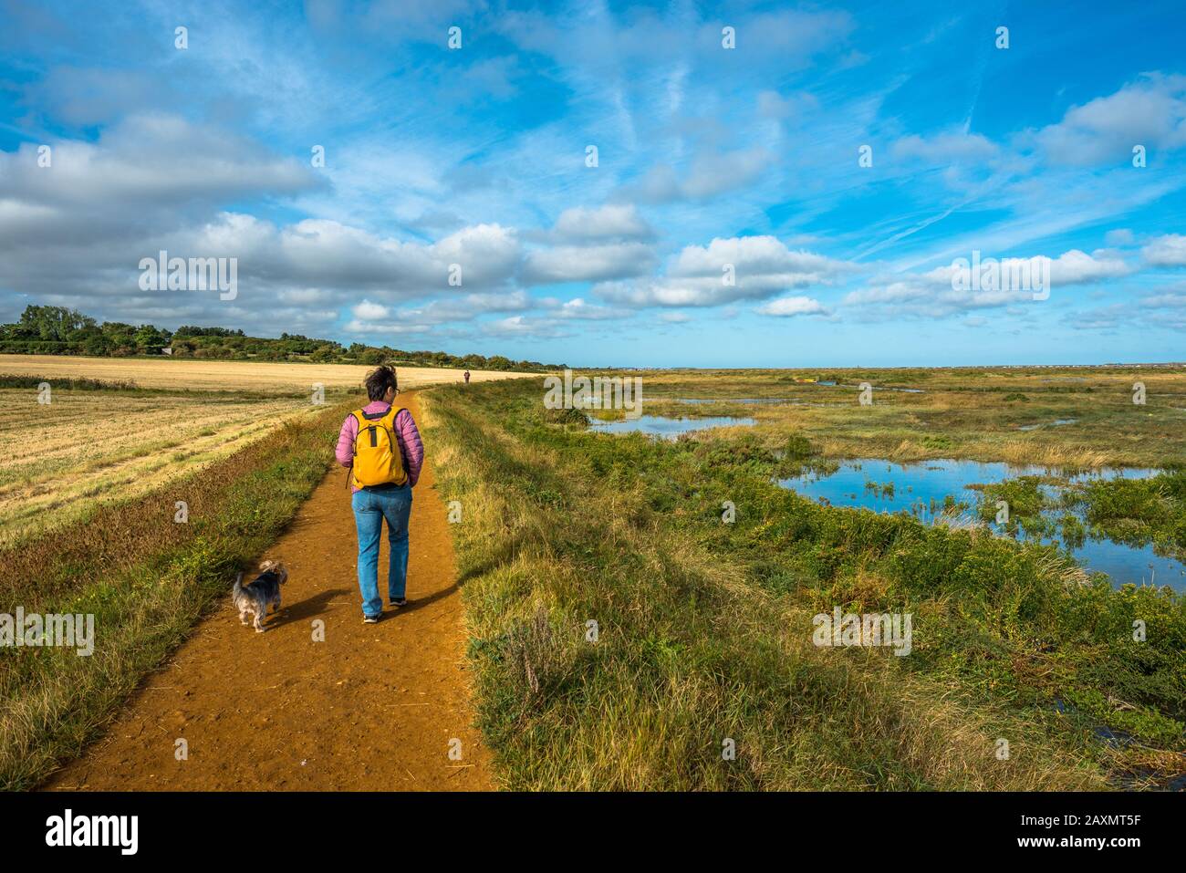 Morston saline visto dalla Blakeney a Morston sentiero costiero. Norfolk, Inghilterra, Regno Unito. Foto Stock