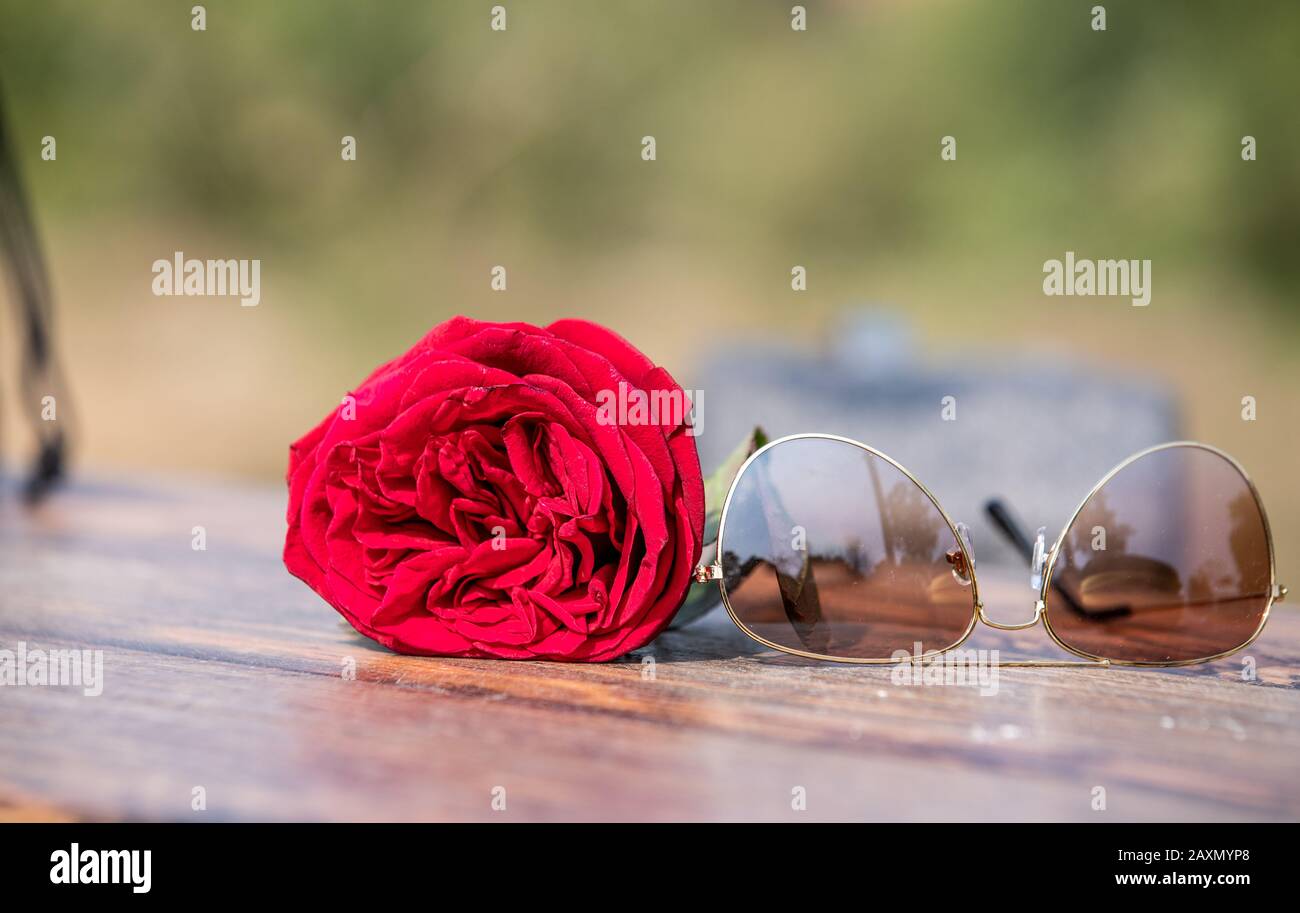 Occhiali Da Sole E Rosa Concetto Di San Valentino Foto Stock