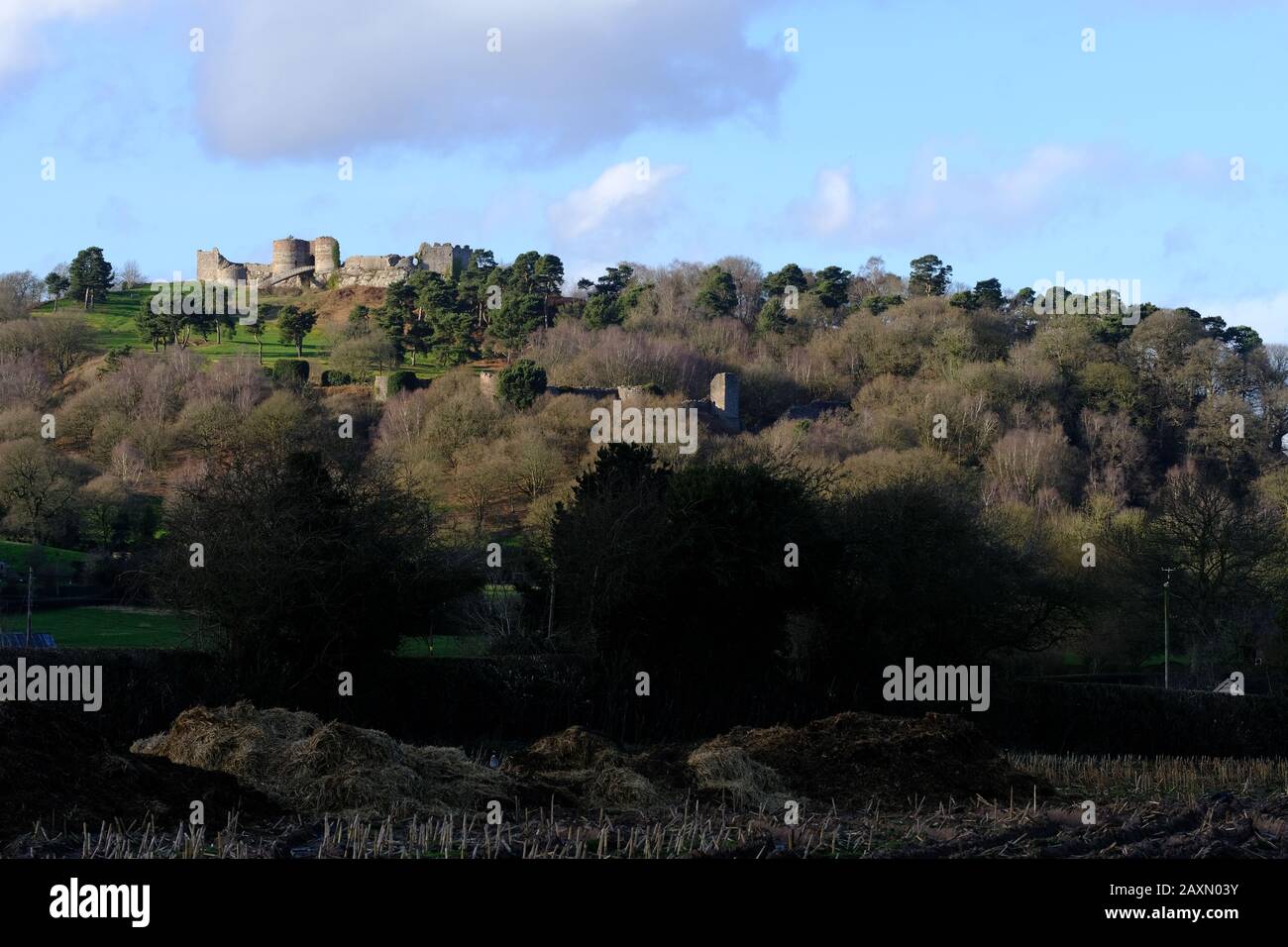 Castello di Beeston, pietra, Monumento, Rocky Crag, Tenda Mura, Castello reale, fortificazione, rovine, Storia, Beeston, Cheshire UK Foto Stock