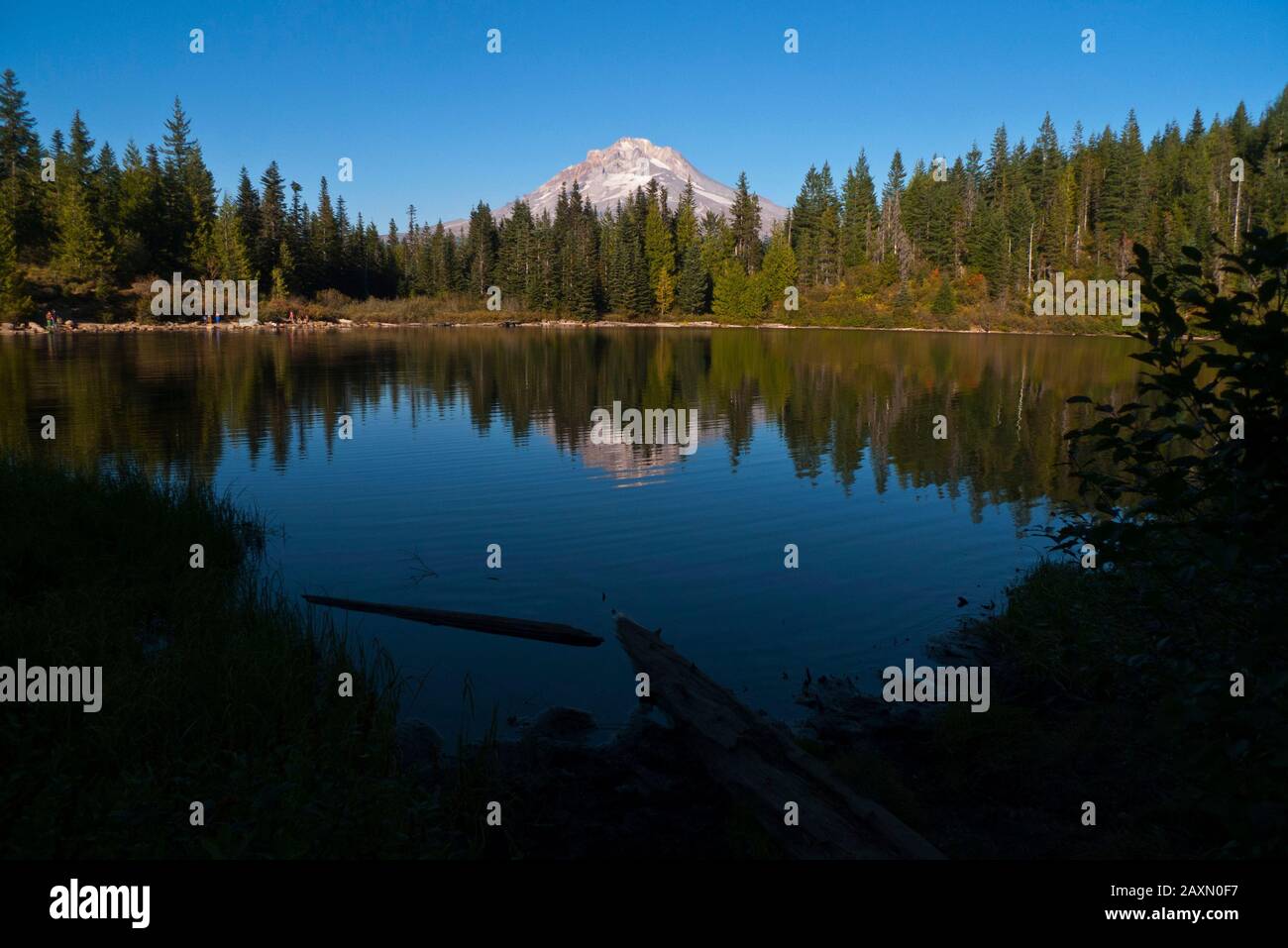 Il Monte Hood si riflette in un piccolo lago alpino chiamato Mirror Lake vicino al campo governativo nel Monte Hood National Forest in Oregon, Stati Uniti. Foto Stock