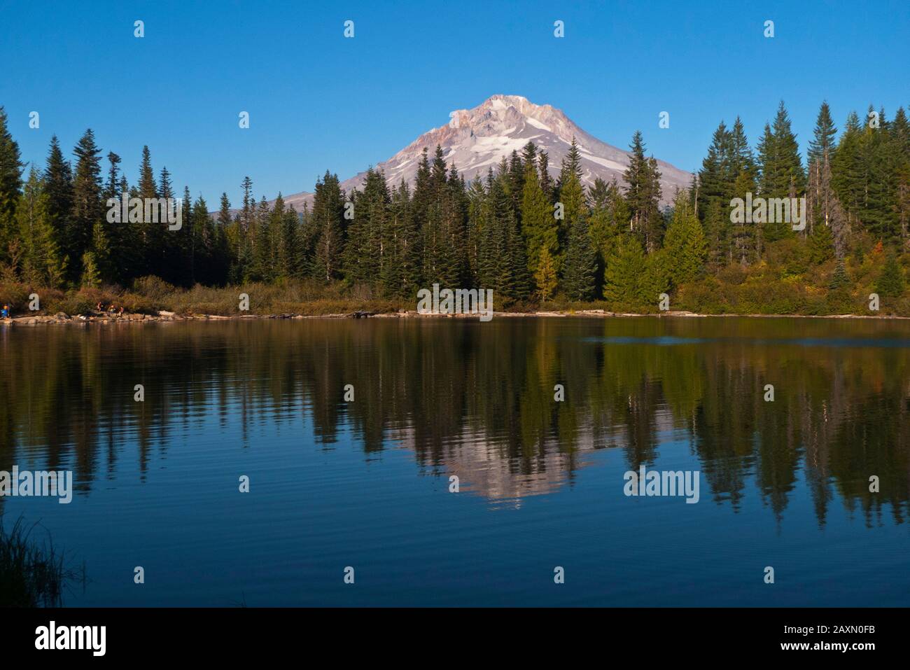 Il Monte Hood si riflette in un piccolo lago alpino chiamato Mirror Lake vicino al campo governativo nel Monte Hood National Forest in Oregon, Stati Uniti. Foto Stock