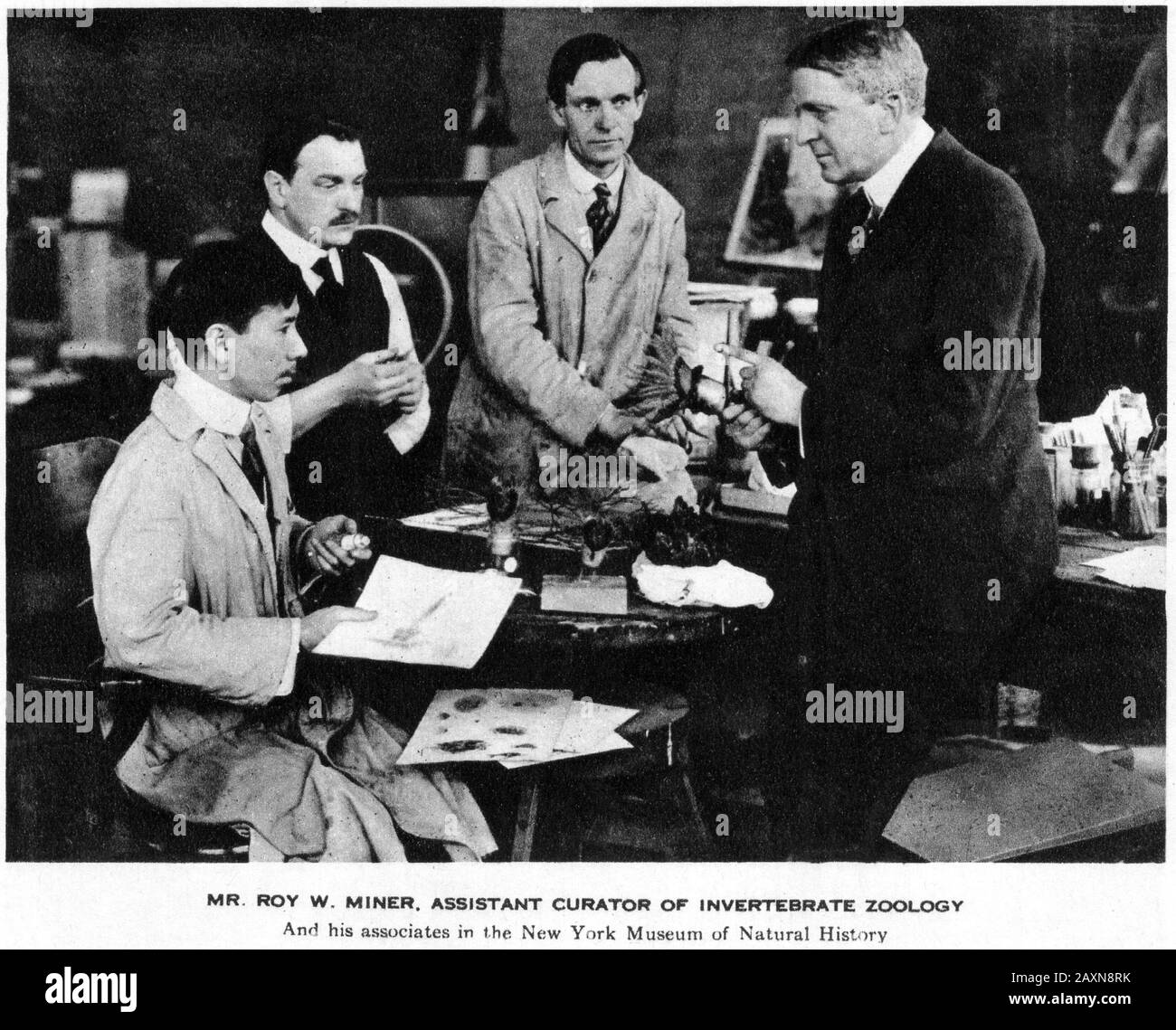 Roy W. Miner, assistente curatore dello zoologia invertebrata e dei suoi soci nel Museo di Storia Naturale di New York Foto Stock