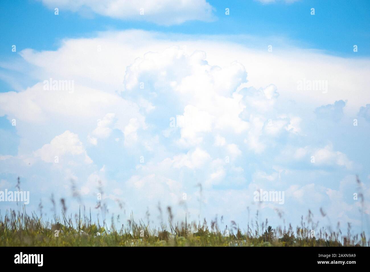 cielo di fondo e nuvole bianche e una stretta linea del campo con erba Foto Stock