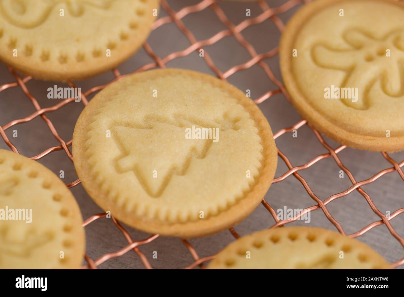 Biscotti di Natale, griglia di raffreddamento, uomo di pan di zenzero, renne, albero di Natale Foto Stock