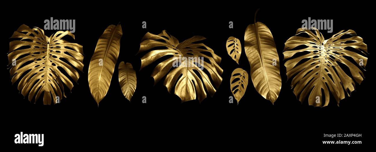 Foglie tropicali oro e nero, possono essere utilizzati come sfondo Foto Stock