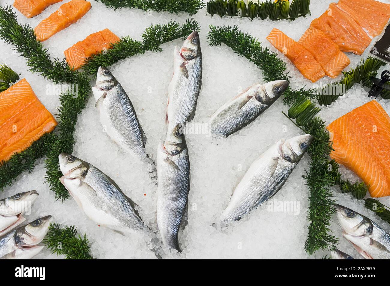 Pesce su ghiaccio in vendita in un supermercato del Regno Unito. Foto Stock