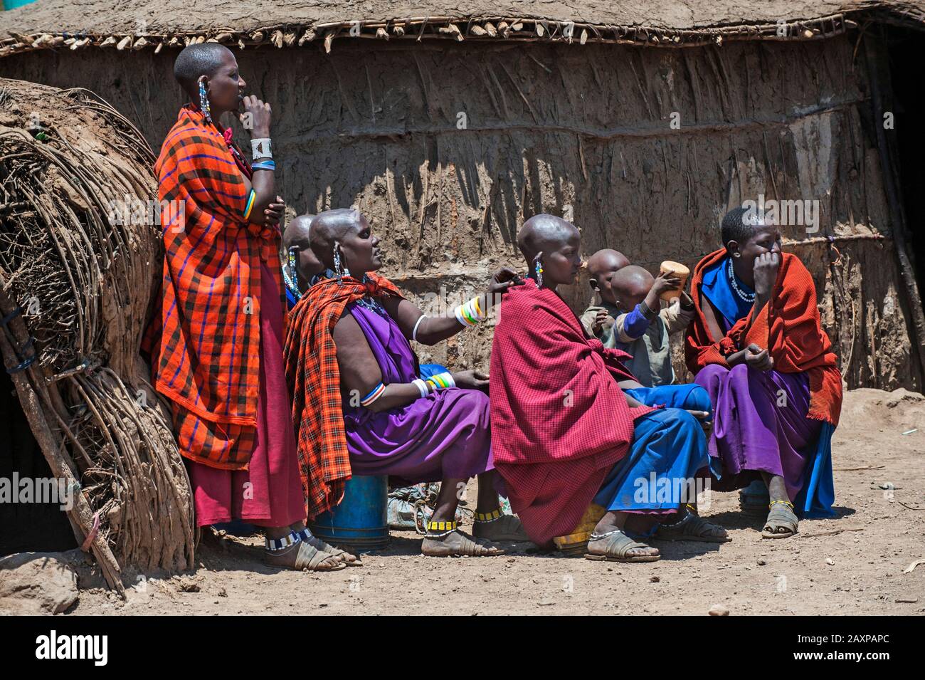 Masai donna rasa la testa di un'altra donna Masai davanti a una casa di Masai dung. Foto Stock