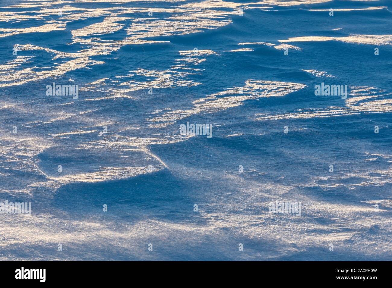 Superficie di neve nel vento Foto Stock