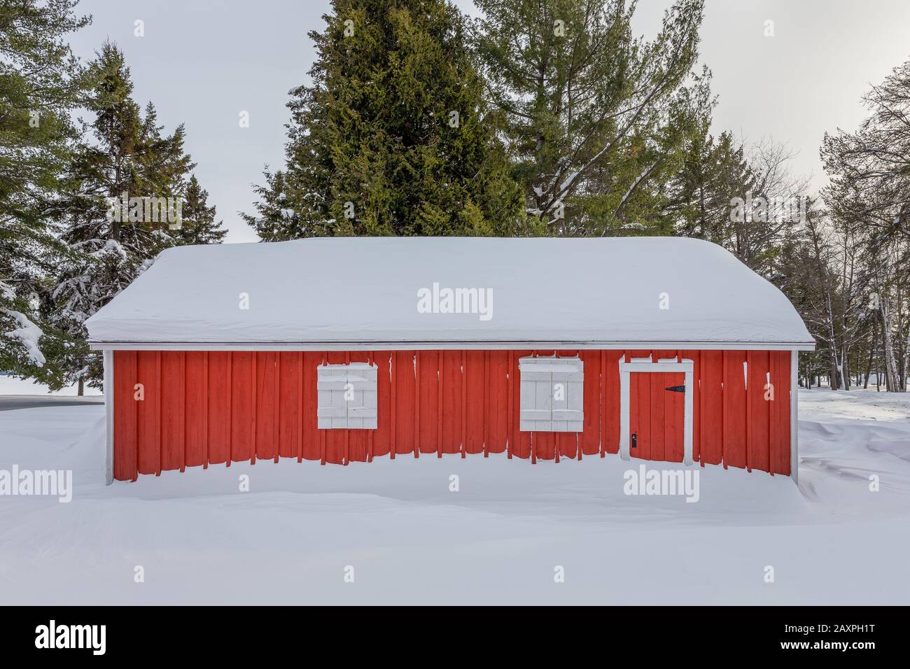 Capannone rosso con persiane bianche incastonato nella neve profonda e circondato da pini verdi. Foto Stock