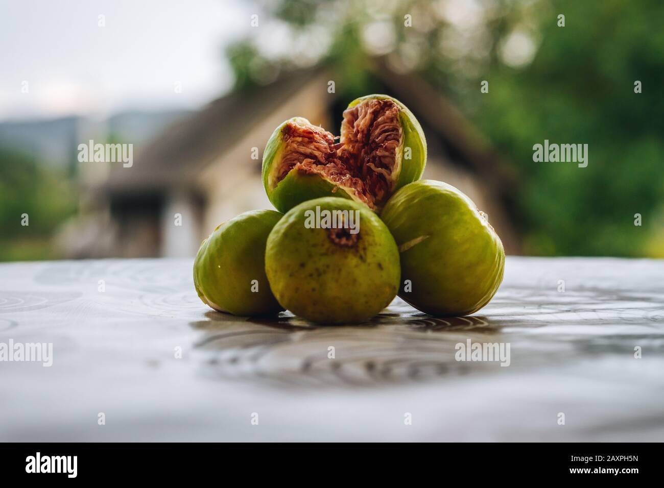 Frutta di Fig primo piano shot Foto Stock