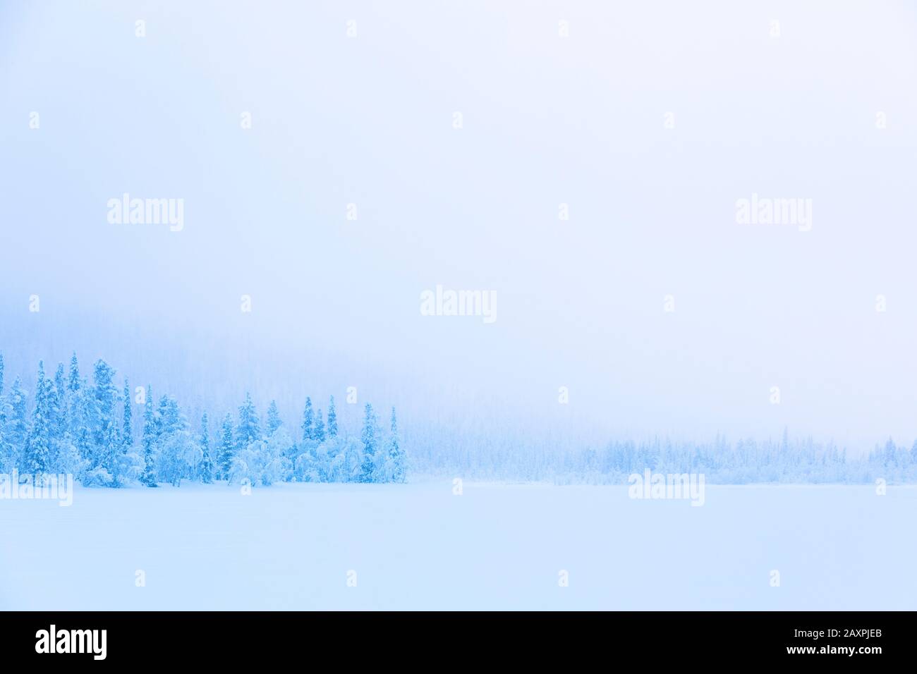 Finlandia, Lapponia, inverno, atmosfera serale, lago Foto Stock