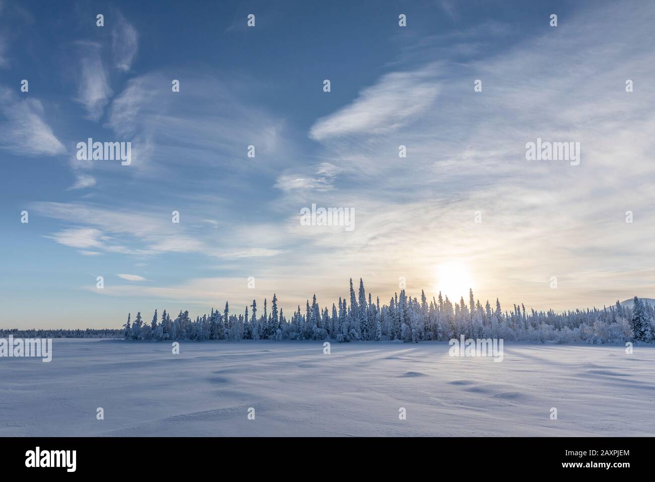 Finlandia, Lapponia, inverno, tramonto, foresta, cielo, lago, riva Foto Stock