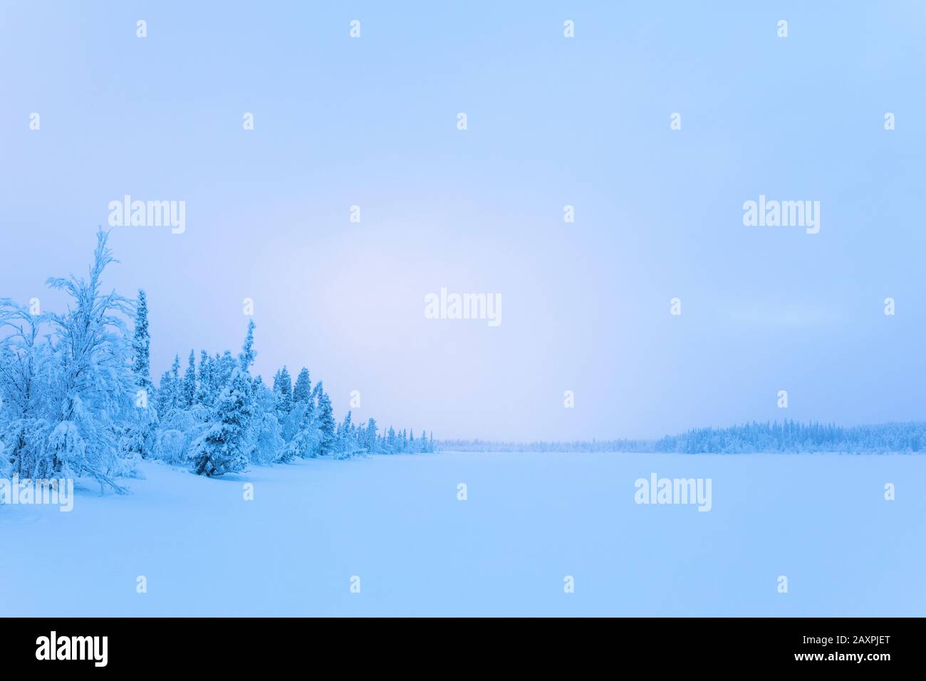 Finlandia, Lapponia, inverno, atmosfera serale, lago Foto Stock