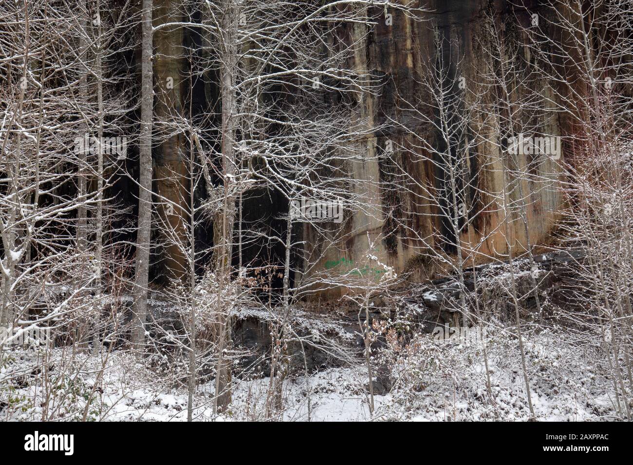 Paesaggio invernale nella Pisgah National Forest, vicino Brevard, North Carolina, USA Foto Stock