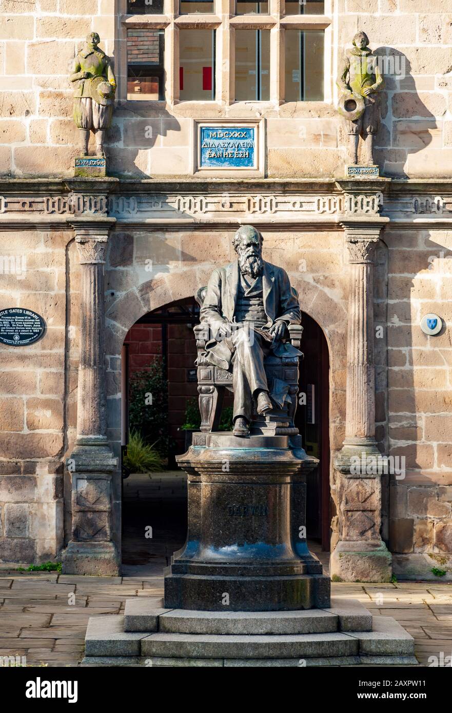 Statua di Charles Darwin nel suo luogo di nascita, la città medievale mercato di Shrewsbury Inghilterra Foto Stock