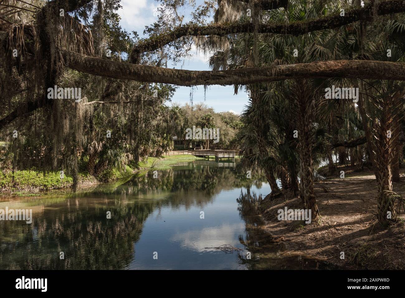 Gemini Springs Park, DeBary Florida USA Foto Stock