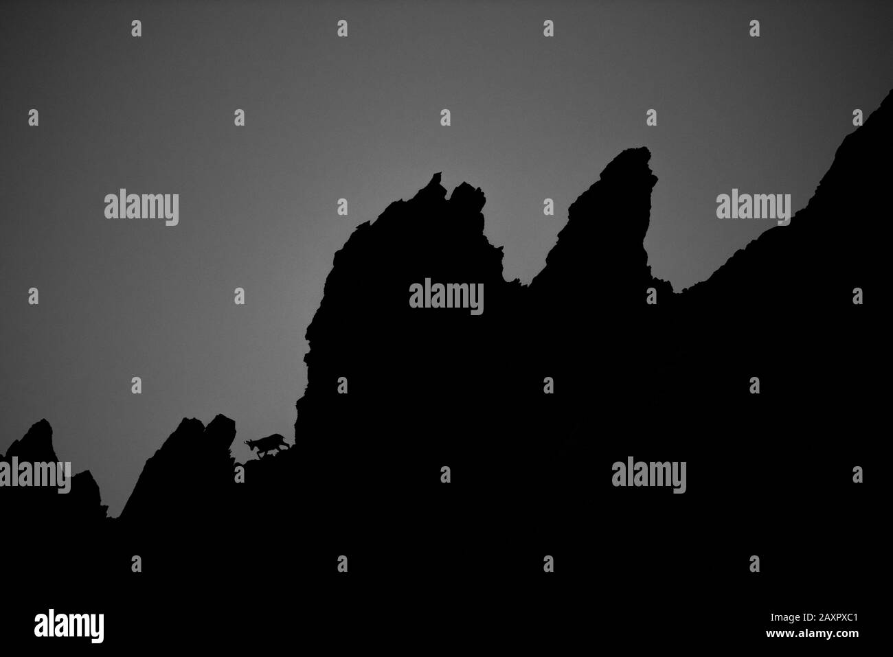 Un camoscio va sopra lo spettatore tra le rocce frastagliate delle montagne Karwendel, solo gli schemi sono riconoscibili Foto Stock