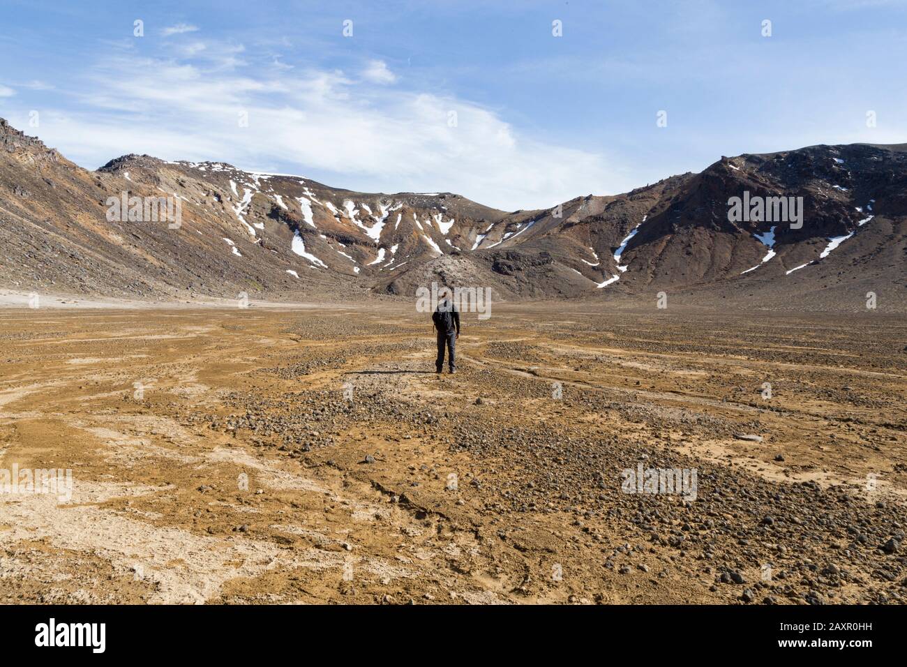 Un uomo che si trova in piedi a campo d'oro piatto e massiccio, guardando alcune colline Foto Stock