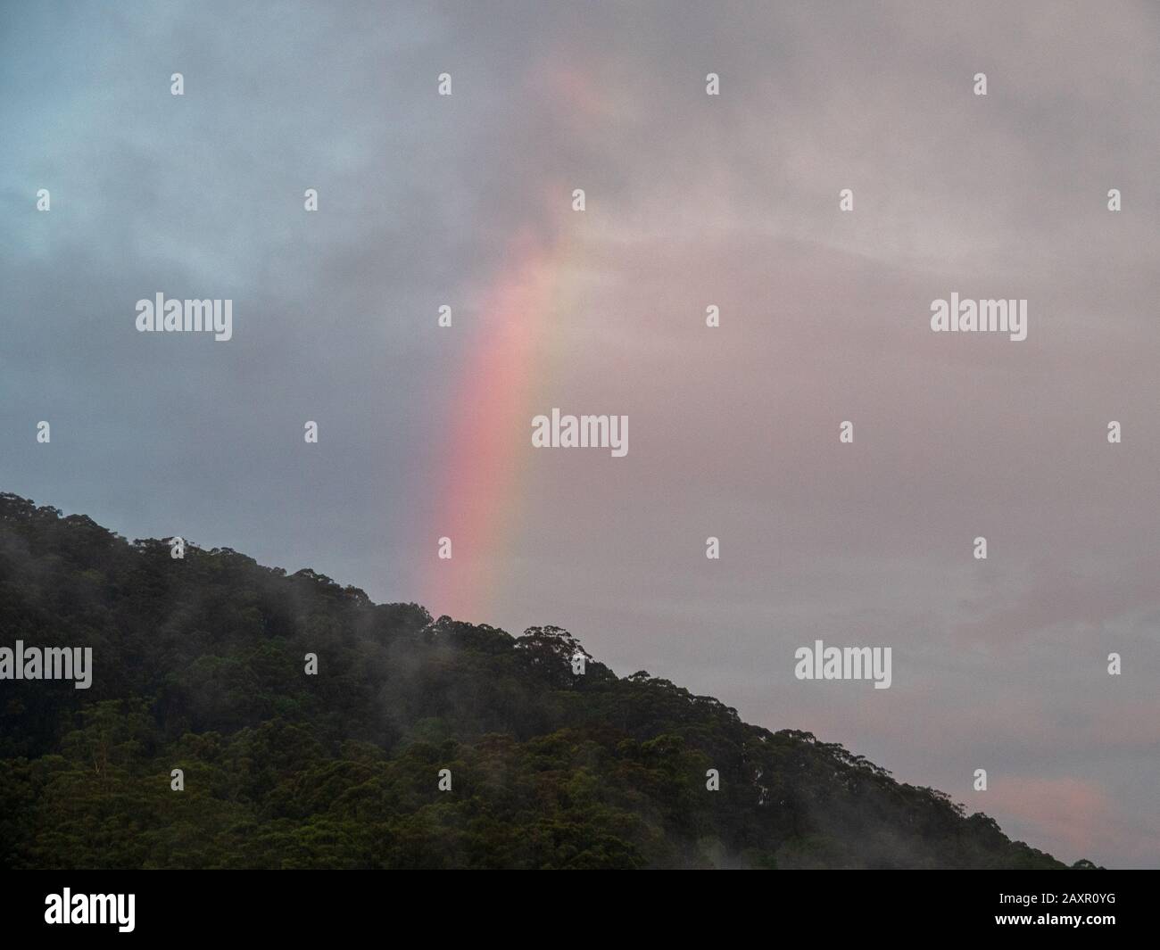 Un Arcobaleno verticale Foto Stock