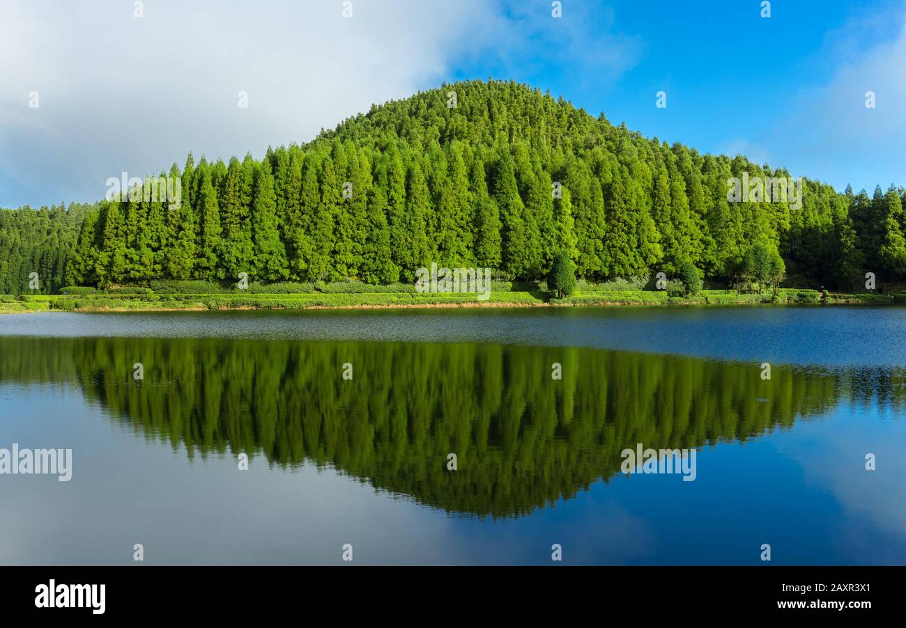 Lago chiamato 'Lagoa das Empadadas' in portoghese, circondato da verde pineta situato su Sao Miguel, Azzorre, Portogallo. Foto Stock