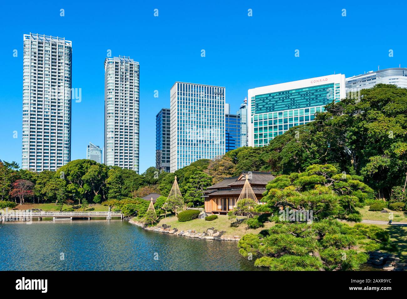 Giardini giapponesi Giardini Hamarikyu Tokyo Parco cittadino giapponese Hama Rikyu Foto Stock