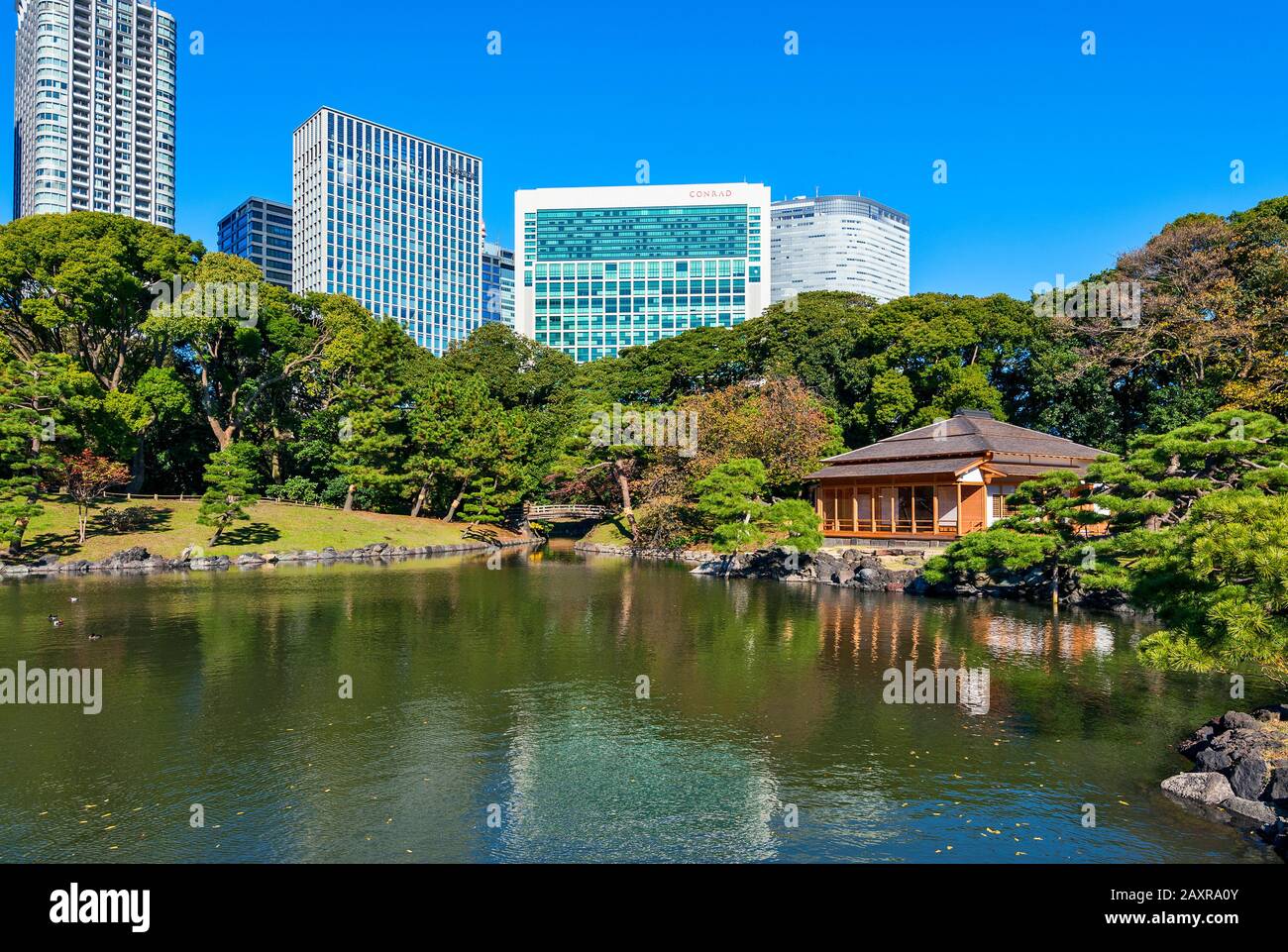 Giardini di Tokyo Hamarikyu Japan City Park Giardini Giapponesi di Hama Rikyu Foto Stock