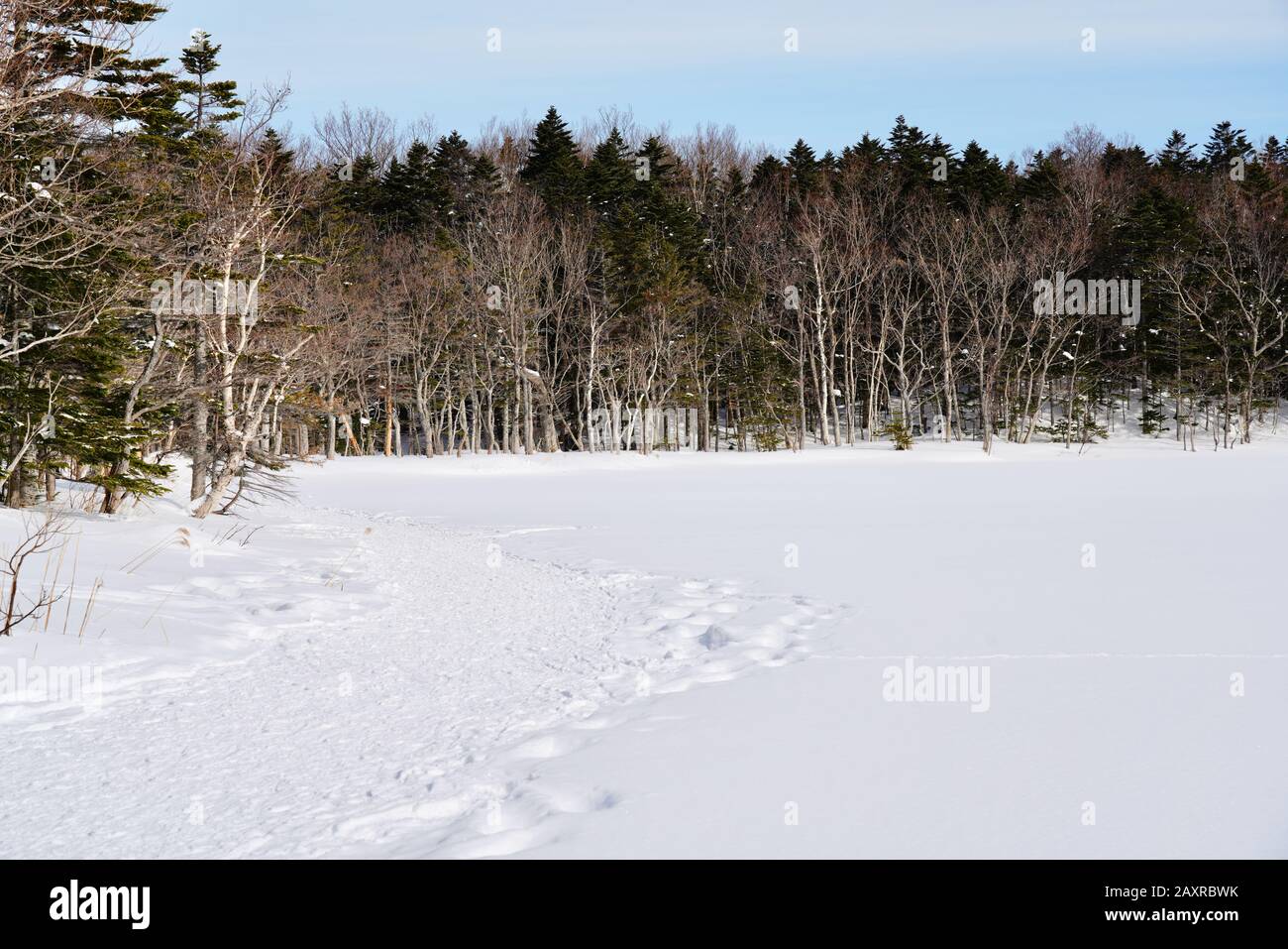 Escursioni attraverso neve coperta Shiretoko Cinque laghi in inverno, Hokkaido, Giappone Foto Stock