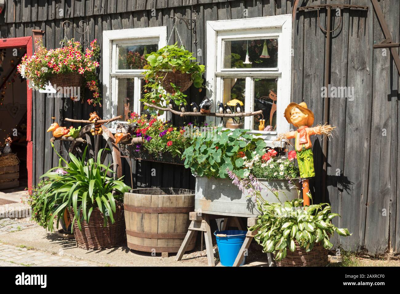 Negozio di fattoria e caffè a Gohrisch, Elbe Arenaria Montagne, Saxon Svizzera National Park, Sassonia, Germania Foto Stock