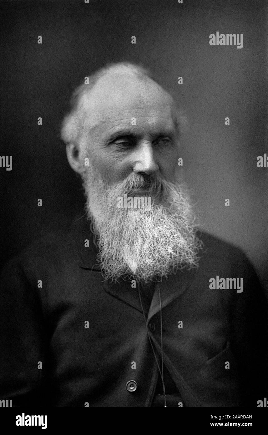 1885 c, Londra , GRAN BRETAGNA : Il patrizio irlandese William Thompson baron KELVIN ( Belfast 1824 - Netherhall 1907 ), fondatore della Thermodinamica e della graduazione della temperatura . Foto di W. & D. DOWNEY , Londra . - TEMPERATURA in GRADI SCALA KELVIN - FISICA - FISICO - scienziato - SCIENZA - SCIENZA - scienziato - scopitore - EnerGIA TERMICA - TERMODINAMICA - ritratto - ratto - barba - capelli bianchi - capelli bianchi - uomo anziano vecchio - vecchio antico uomo ---- ARCHIVIO GBB Foto Stock