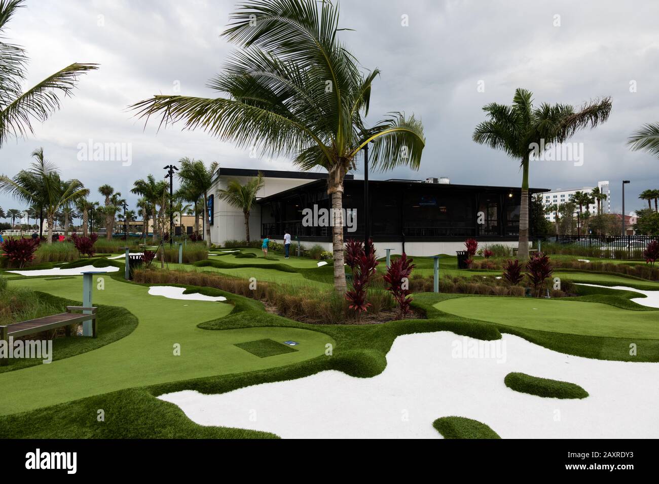 Palme soffiate dal vento si ergono sopra il campo da golf in miniatura PopStroke a Port St. Lucie, Florida, USA. Foto Stock