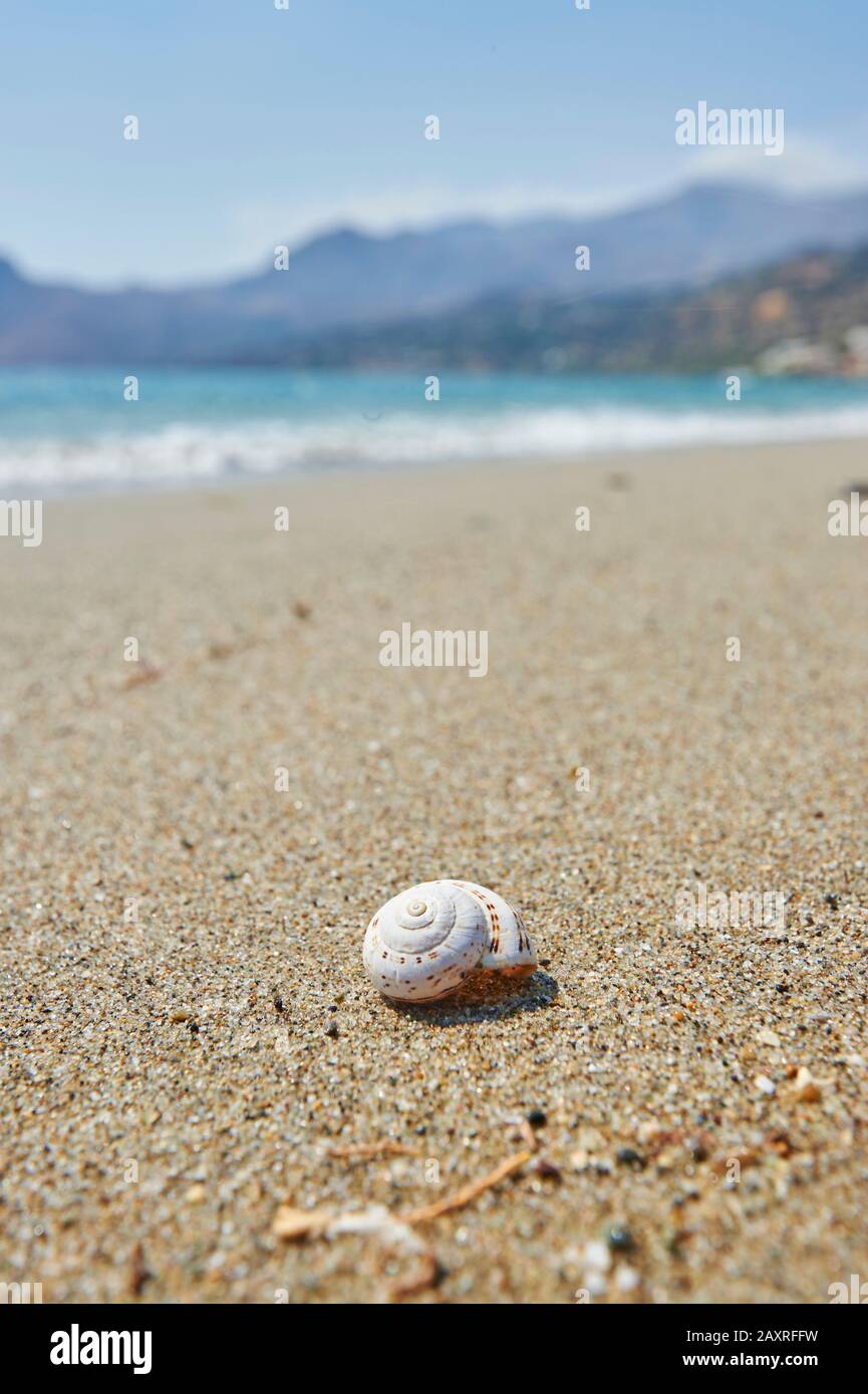 Casa Shell sulla spiaggia di Plakias, Creta, Grecia Foto Stock