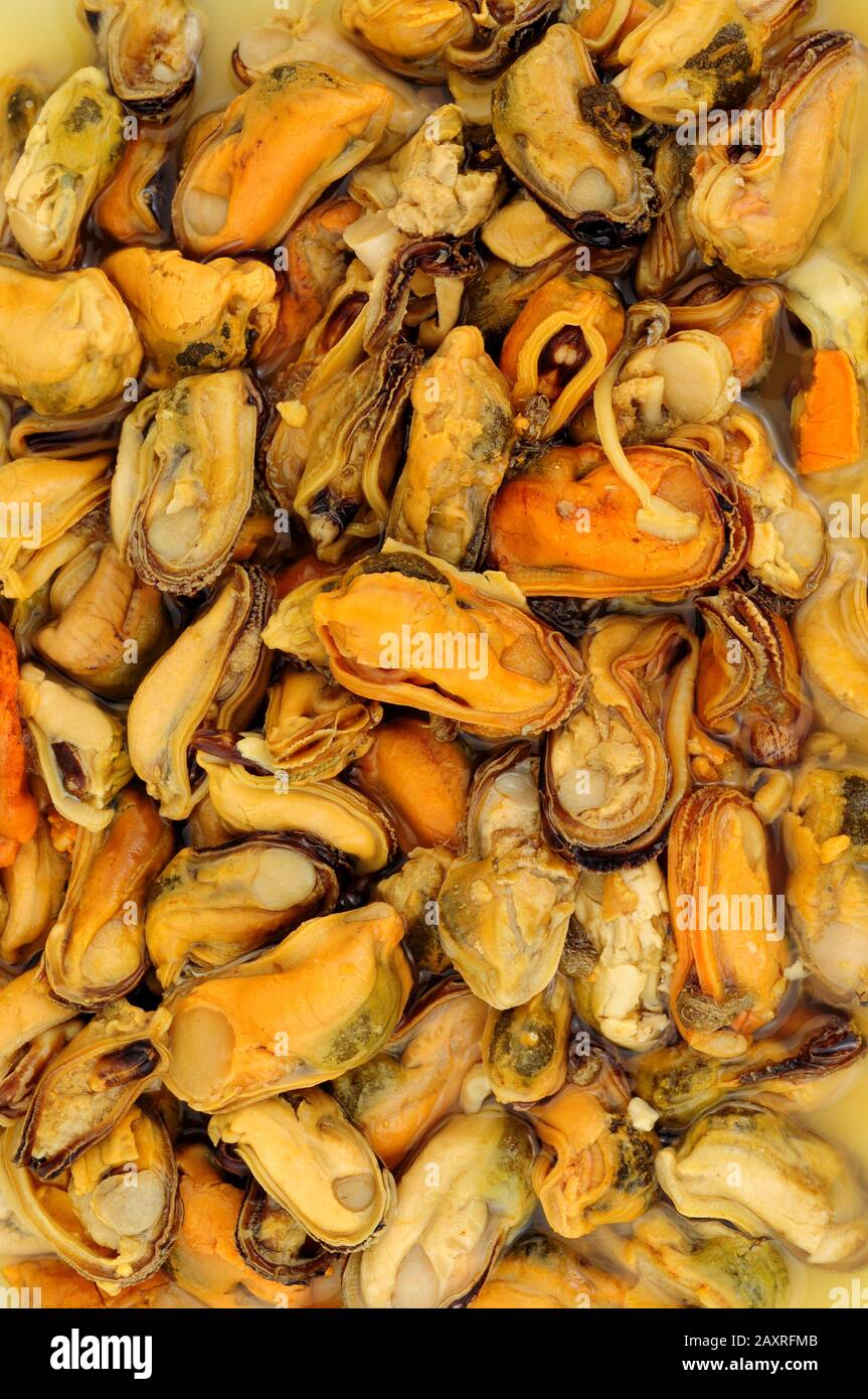 Delizioso aceto cotto conservato cozze sottaceto sottaceto Foto Stock