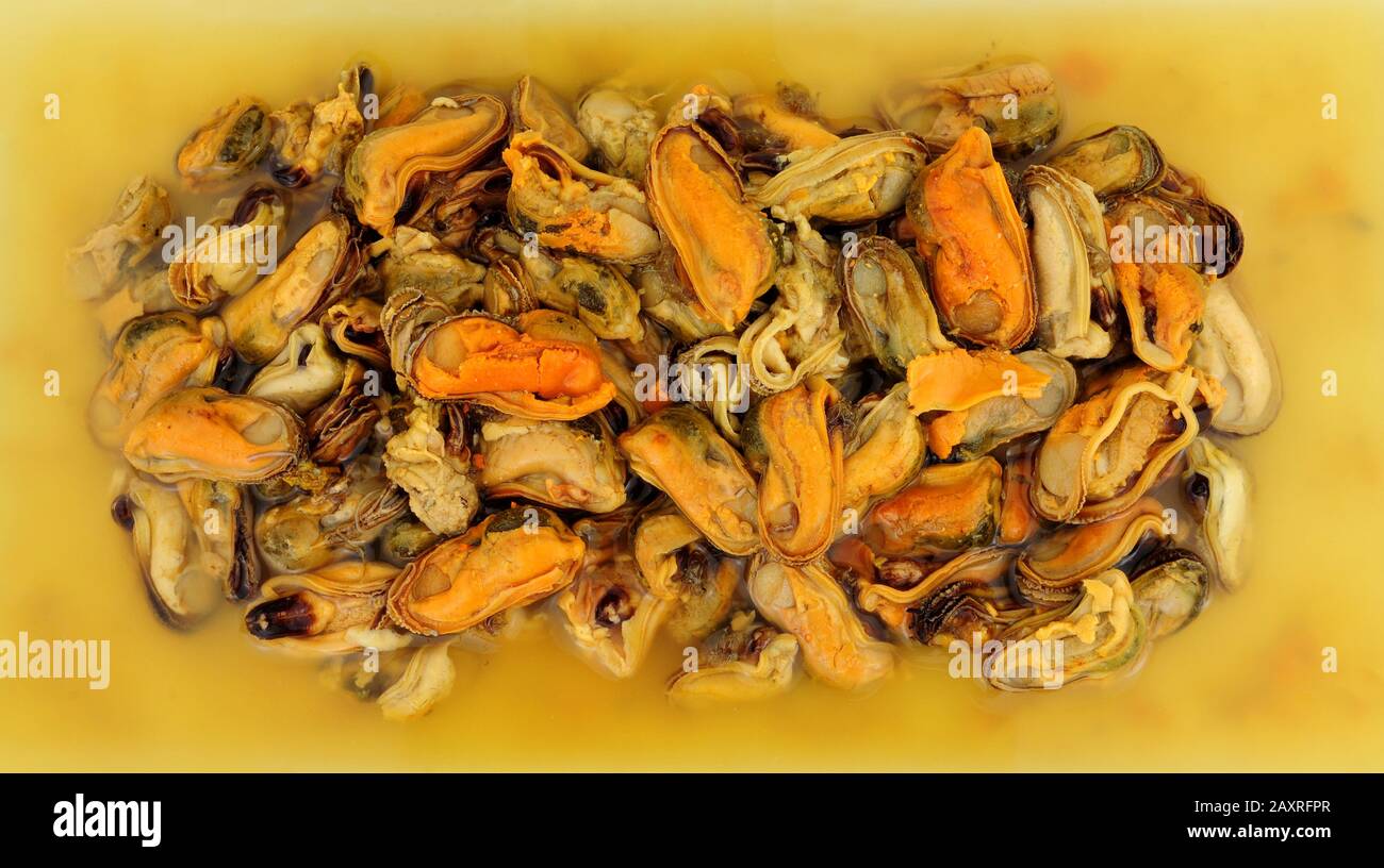 Delizioso aceto cotto conservato cozze sottaceto sottaceto Foto Stock