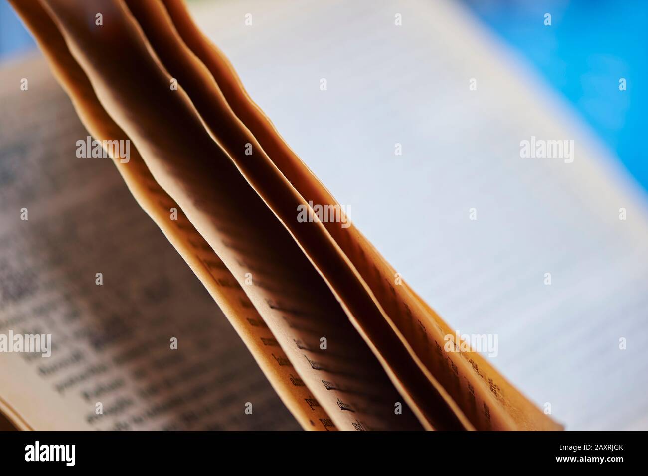 Libro aperto con scrittura in luce calda, pagina del libro, inglese Foto Stock Libro aperto con scrittura in luce calda, pagina del libro, inglese Foto Stock