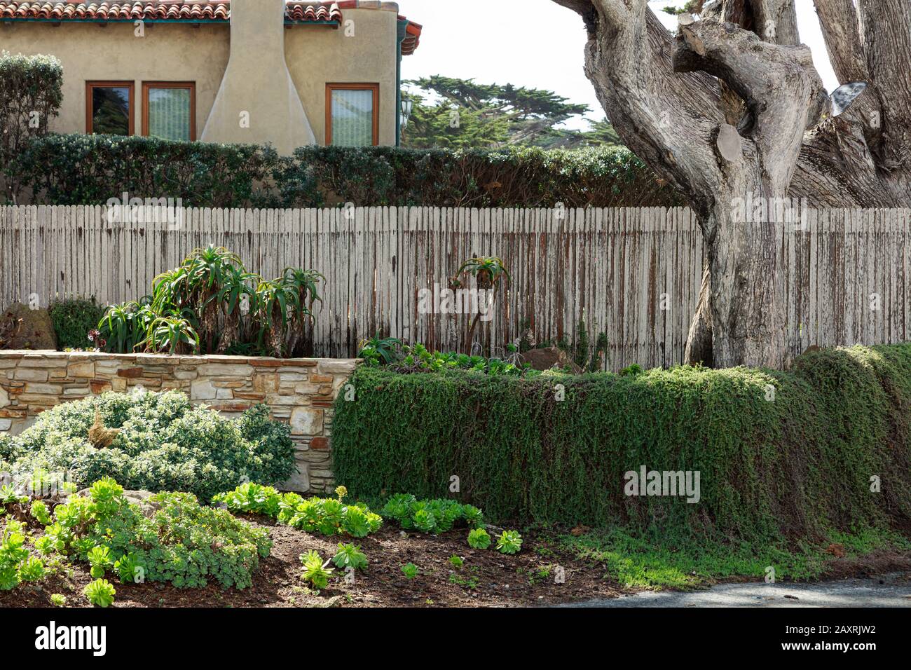 Monterey California casa esterno giardino frontale con muro di