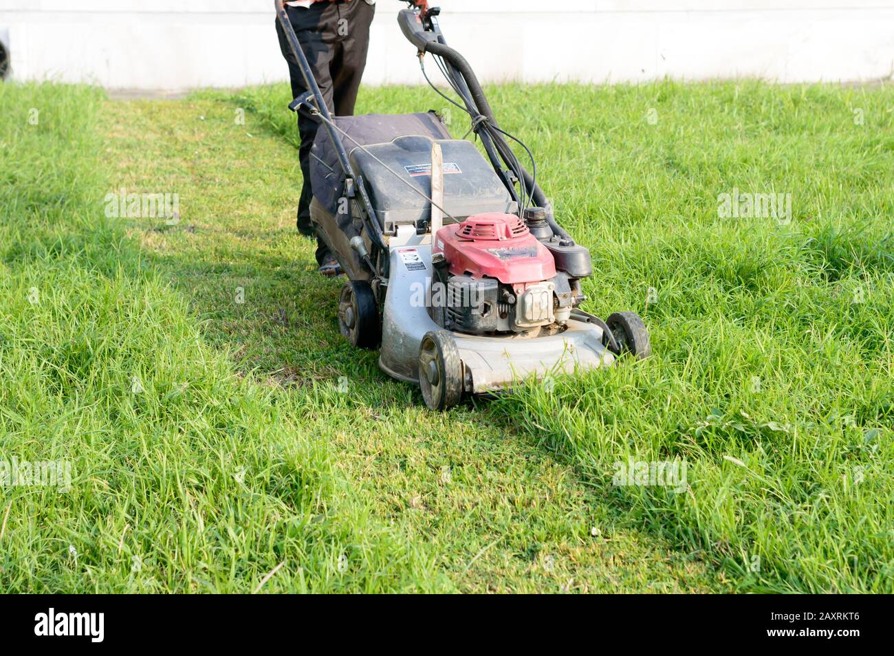 Una macchina per tosaerba rotante elettrica (falciatrice, tagliaerba o  tosaerba) per tosaerba, Per Il Taglio di aree di prato. Tosaerba  motorizzato in uso giardini parchi Foto stock - Alamy