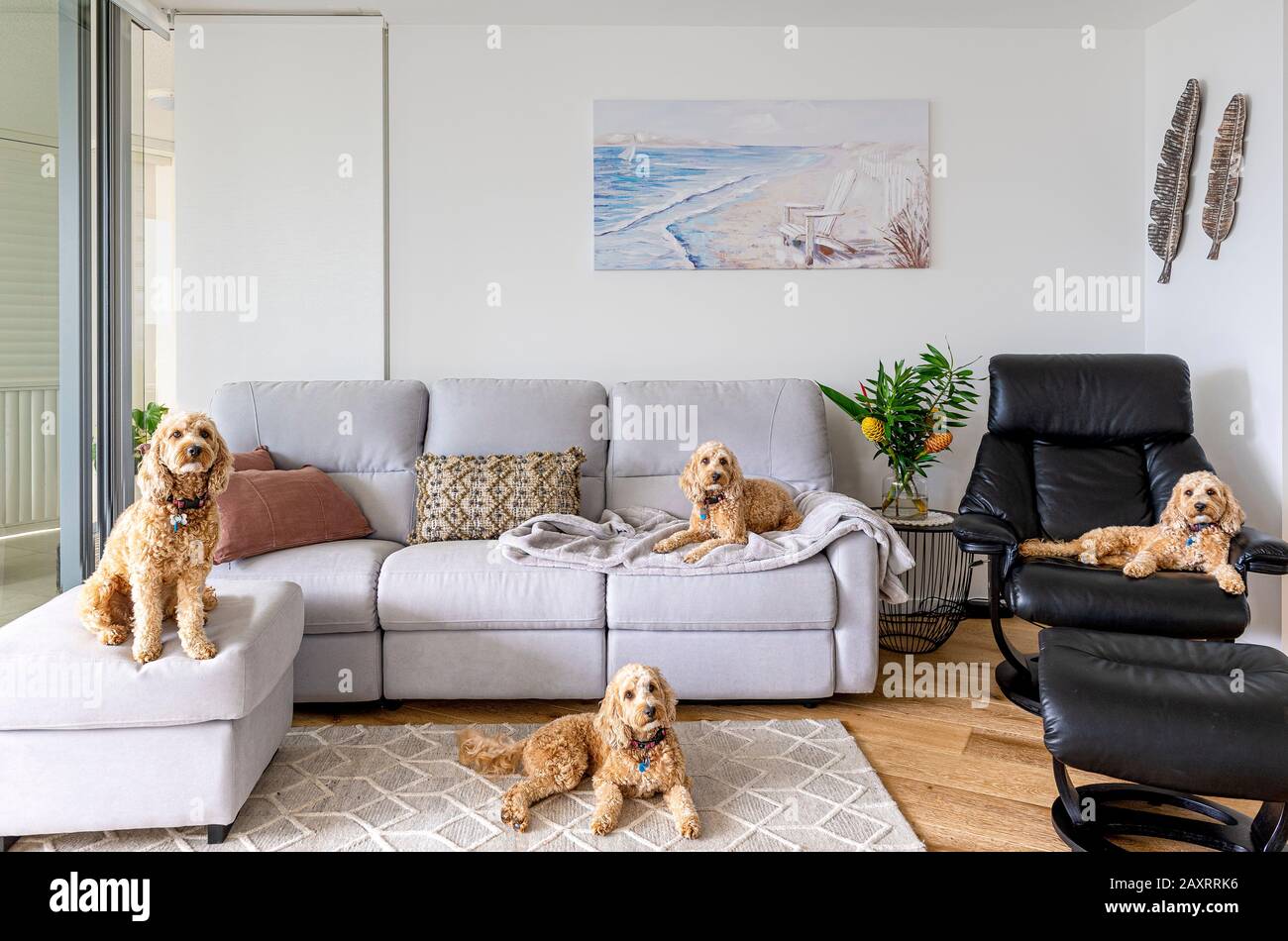 Quattro scarabocchi si siedono in un soggiorno con la telecamera. Foto Stock