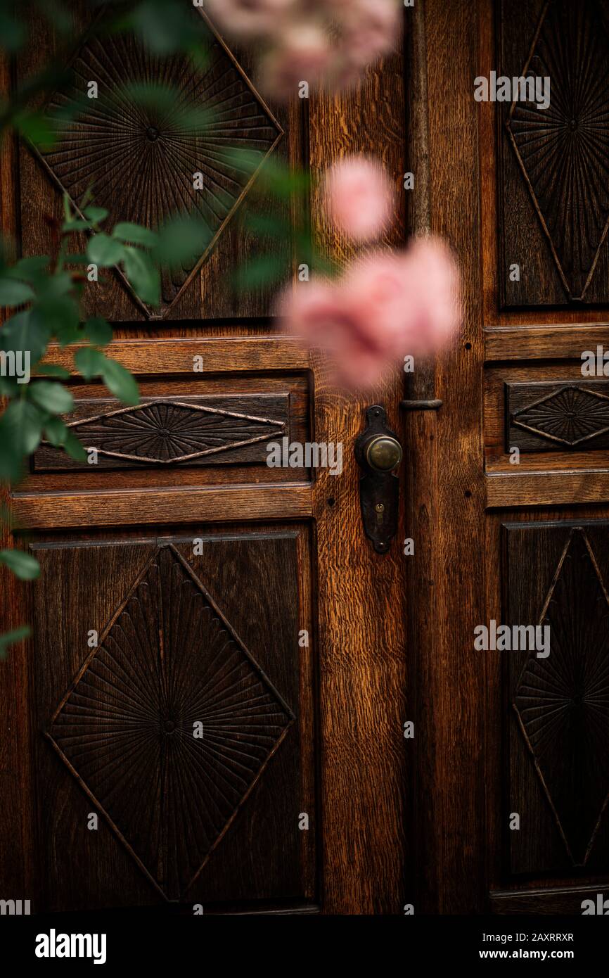 Rosa arrampicata rose nel giardino di fronte alla storica porta di legno, primo piano, Rosa, sfocato Foto Stock