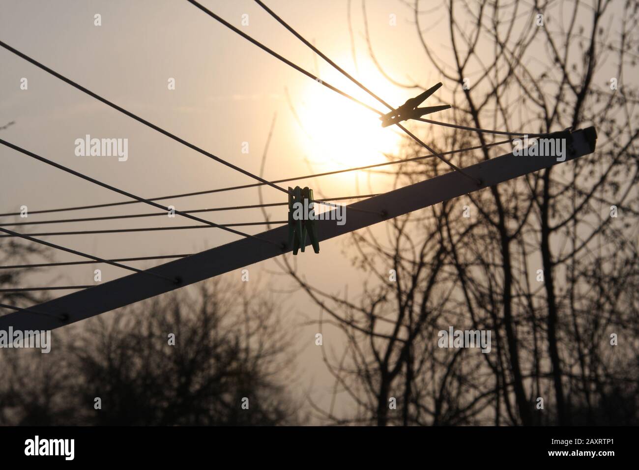 CClothespins sulla clothesline all'alba su sfondo sfocato. Primo piano, concetto nelle prime ore del mattino Foto Stock