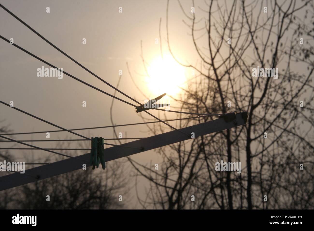 CClothespins sulla clothesline all'alba su sfondo sfocato. Primo piano, concetto nelle prime ore del mattino Foto Stock