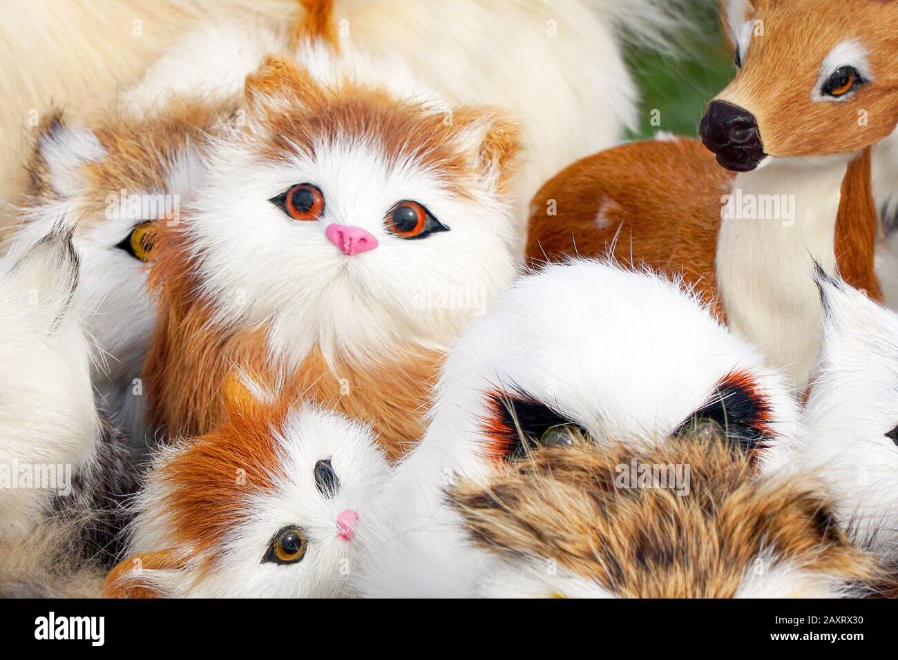 I peluche gattini seduti nella parte anteriore della fotocamera Foto Stock
