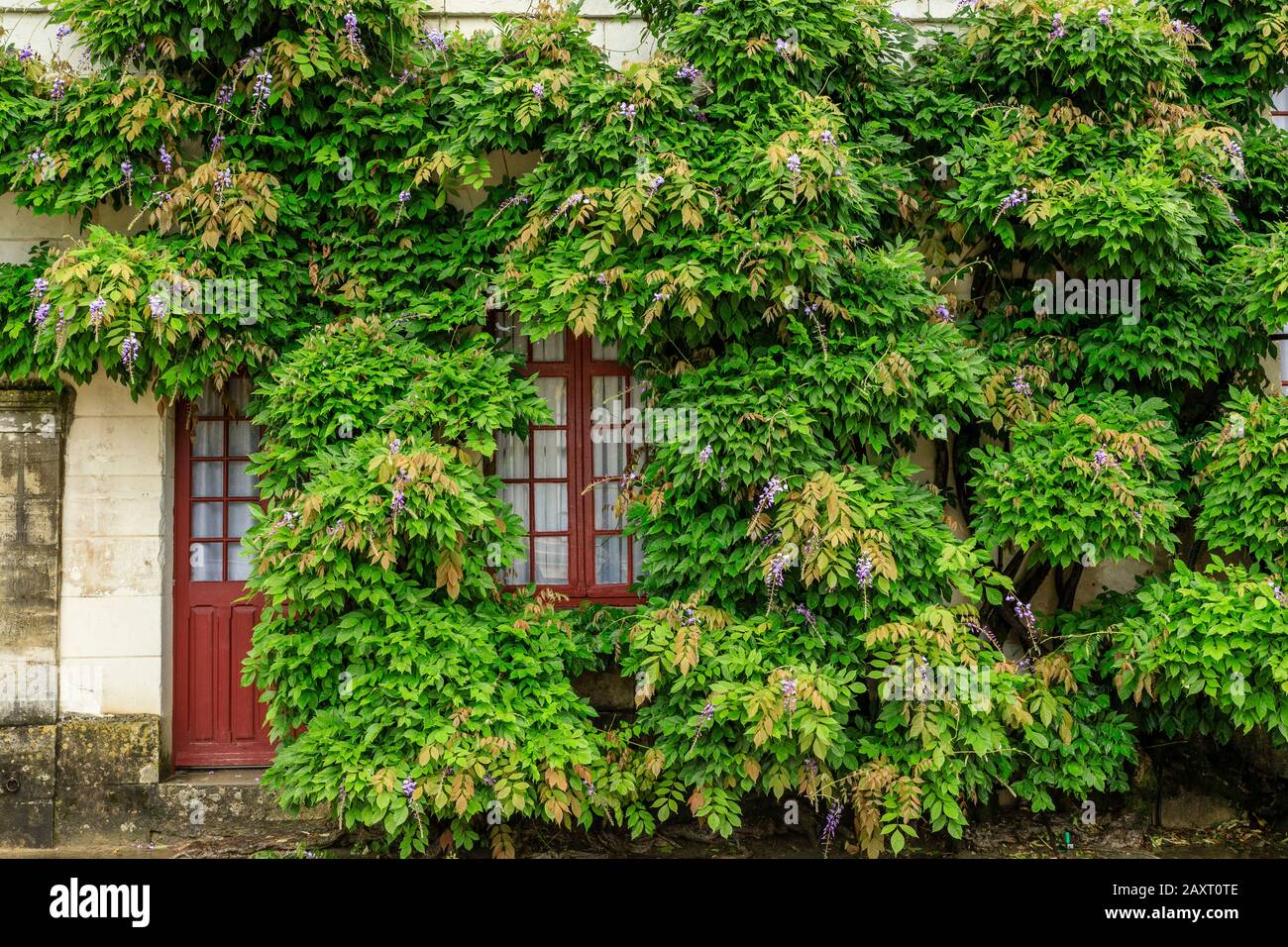 Francia, Indre et Loire, Valle della Loira dichiarata Patrimonio dell'Umanità dall'UNESCO, Chenonceaux, Chateau de Chenonceau Parco e Giardini, la Cancelleria, facciata Foto Stock