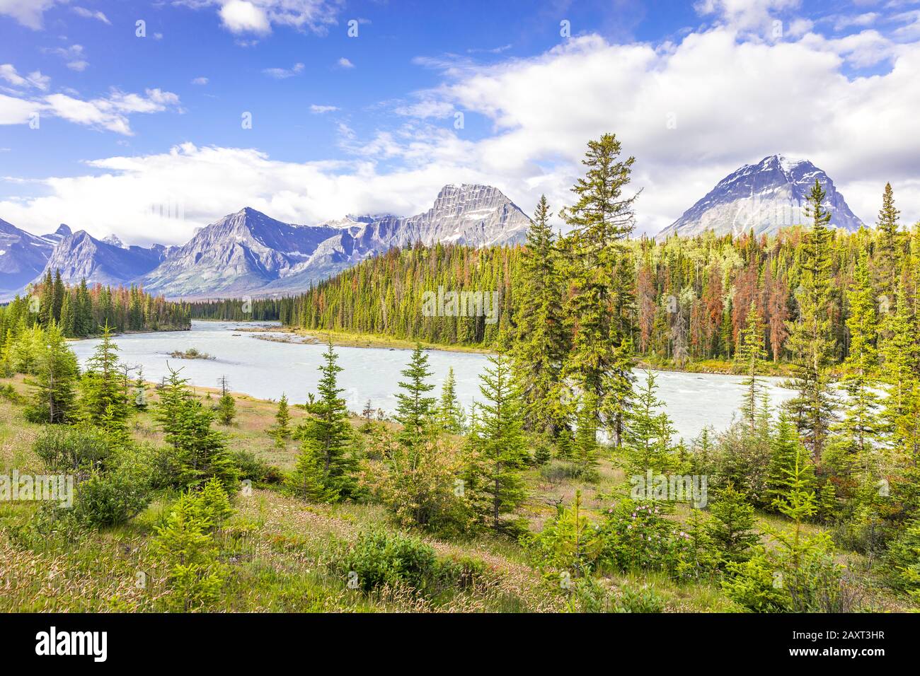 Paesaggio montano con fiume Athabasca, foreste e Montagne Rocciose canadesi, Alberta Foto Stock