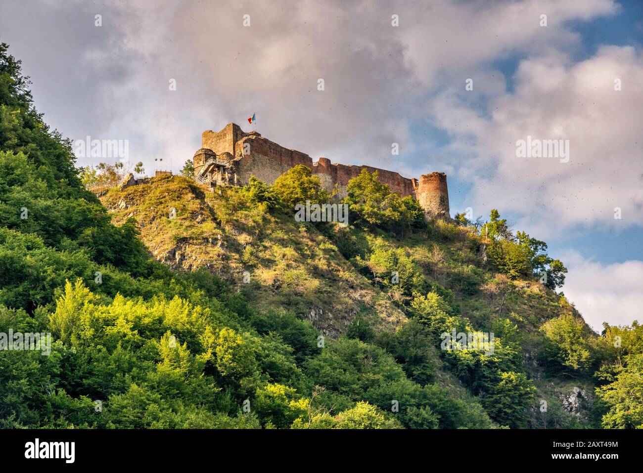 Castello di Poenari, 13th secolo, sulla scogliera sopra Transfagarashan Road, Fagaras Montagne nel Carpazi del Sud, vicino Arefu, Arges County, Romania Foto Stock