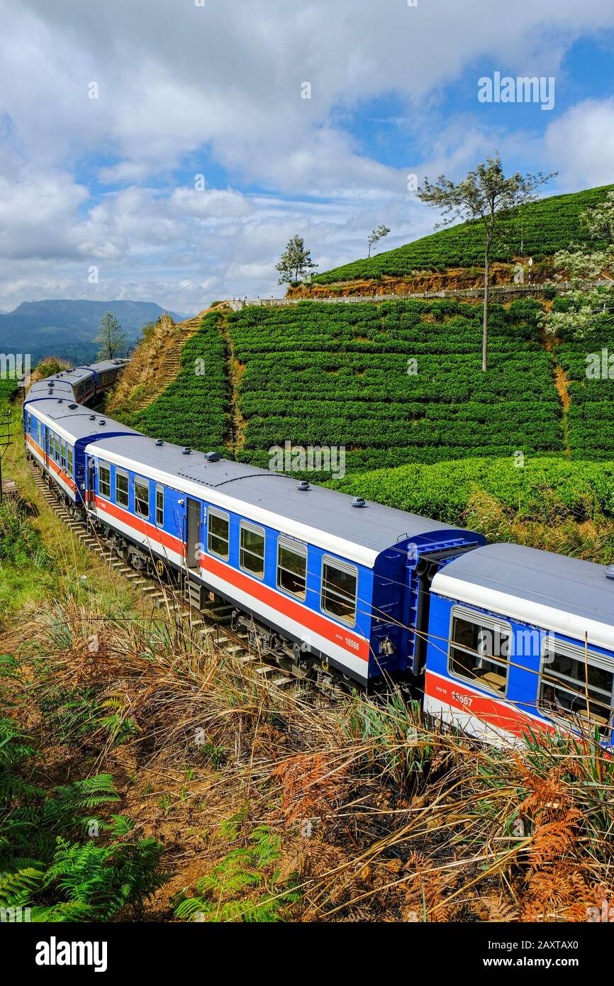 Nanu Oya, Sri Lanka - Gennaio 2020: Treno che passa tra le piantagioni di tè all'uscita della stazione di Nanu Oya il 23 gennaio 2020 a Nanu Oya, Sri Lanka. Foto Stock
