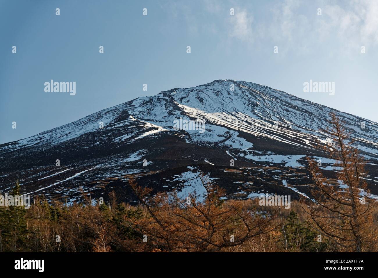 Vista del Monte Fuji e dintorni, ripresa su fotocamera da sessanta megapixel, Kitayama, Fujinomiya, Giappone. Foto Stock
