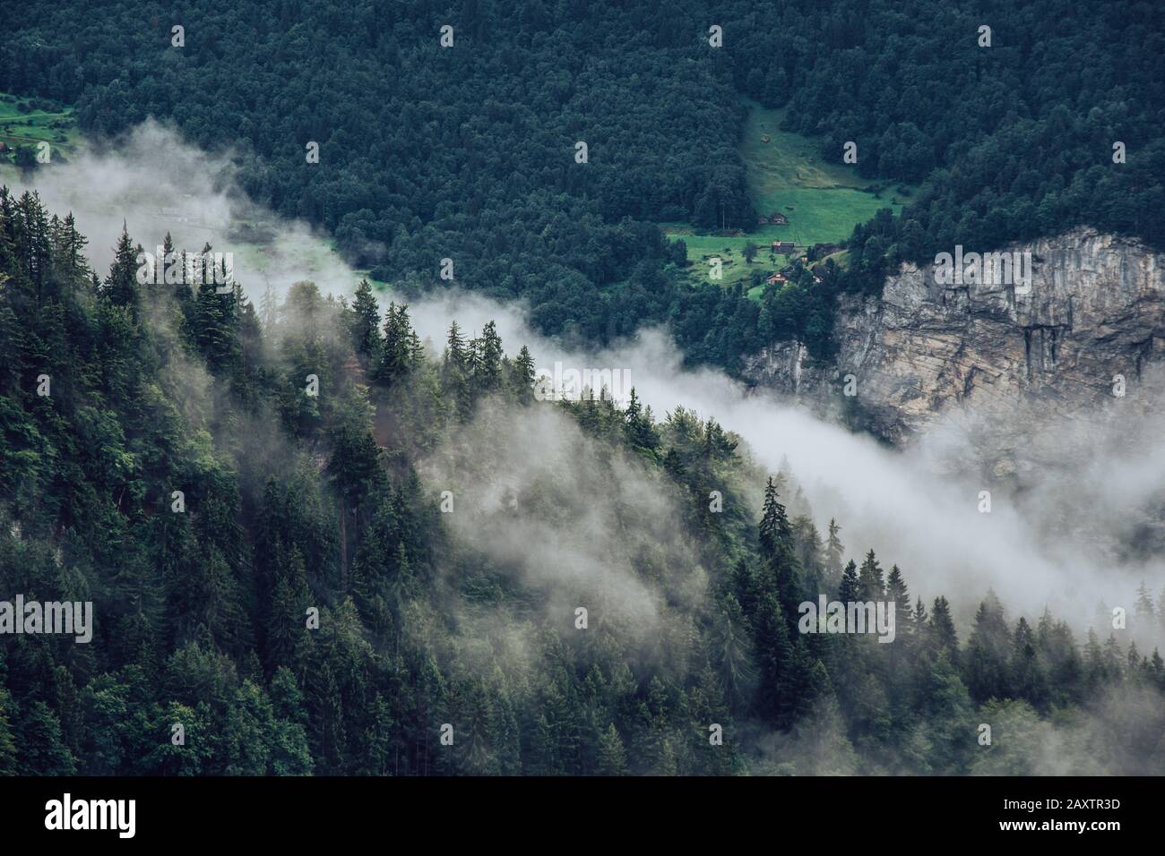 Paesaggio di montagne coperte di foreste e nebbia sotto luce solare Foto Stock